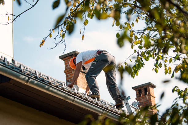 Roof Waterproofing Services in Grandy, NC
