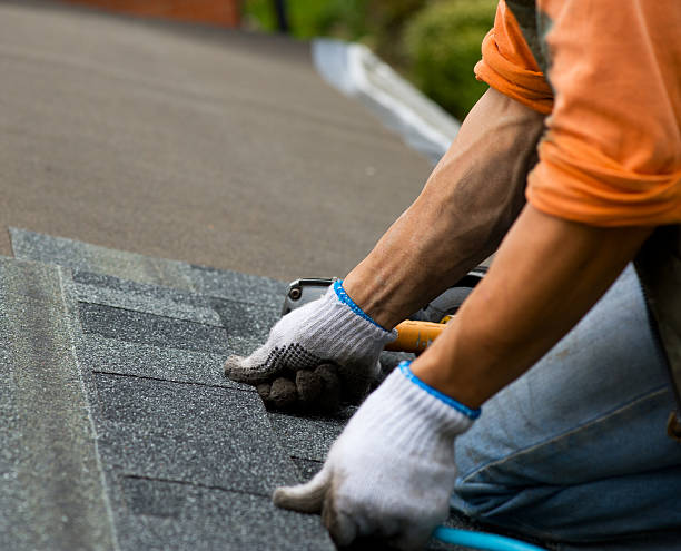 Quick and Trustworthy Emergency Roof Repair Services in Grandy, NC