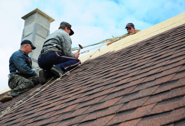 Best Shingle Roofing Installation  in Grandy, NC